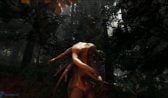 The Forest Yükle