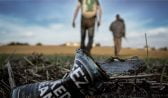 Dayz Download