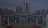 Cities Skylines Apk Android