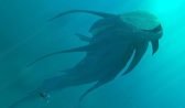 Subnautica Full İndir
