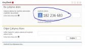 Anydesk Full İndir