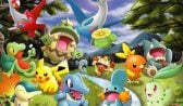 pokemon go nasıl oynanır