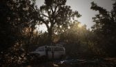 Resident Evil 7 Download
