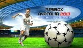 Pesbox Anatolia 2013 Full İndir