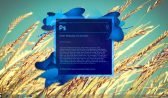 Photoshop Cs6 Full İndir