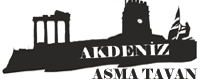 asma tavan