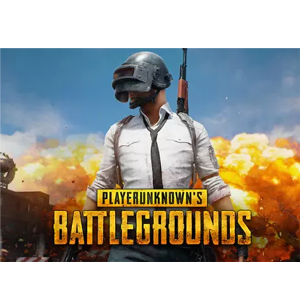 PUBG (PlayerUnknown's Battlegrounds)