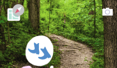 Peridot APK Download