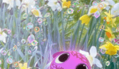 Peridot APK İndir