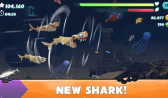 Hungry Shark APK İndir